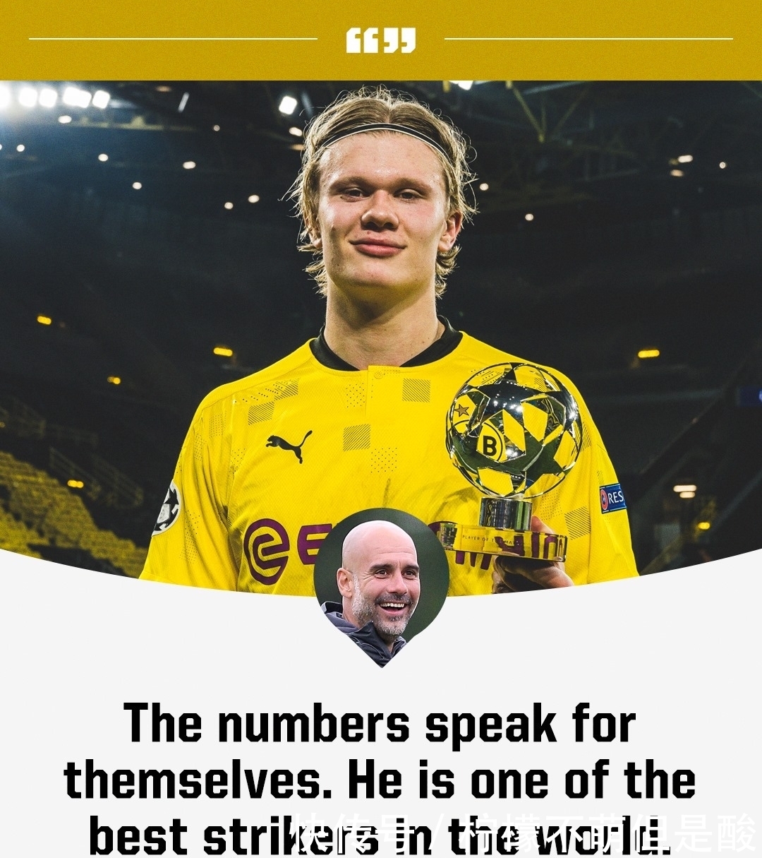 专业服务经验，行业标准化践行者